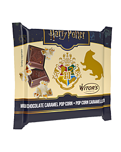 Harry Potter Chocolate Tablet Gift Pack – 40 g – Case of 24 (2 Flavours)